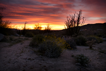 Anza Borrego